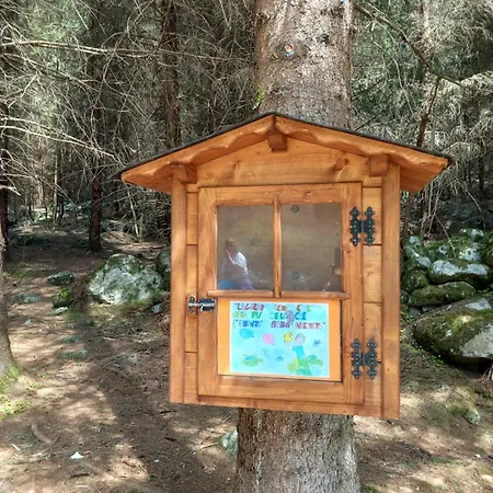 B&B Il Sottobosco-2